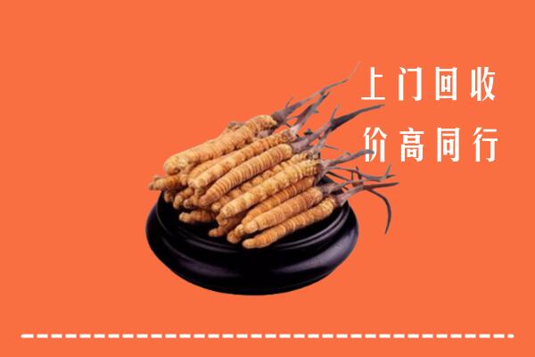 高价求购：临汾大宁回收散虫草