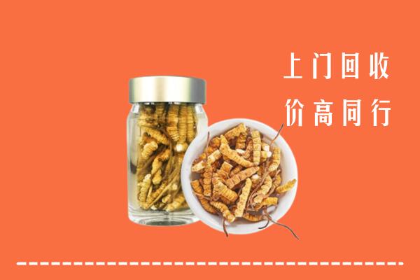 临汾大宁回收冬虫夏草